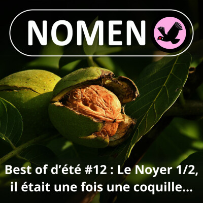 BEST OF D'ÉTÉ #12 : Le Noyer 1/2, briser la glace… avec une coquille de la noix cover