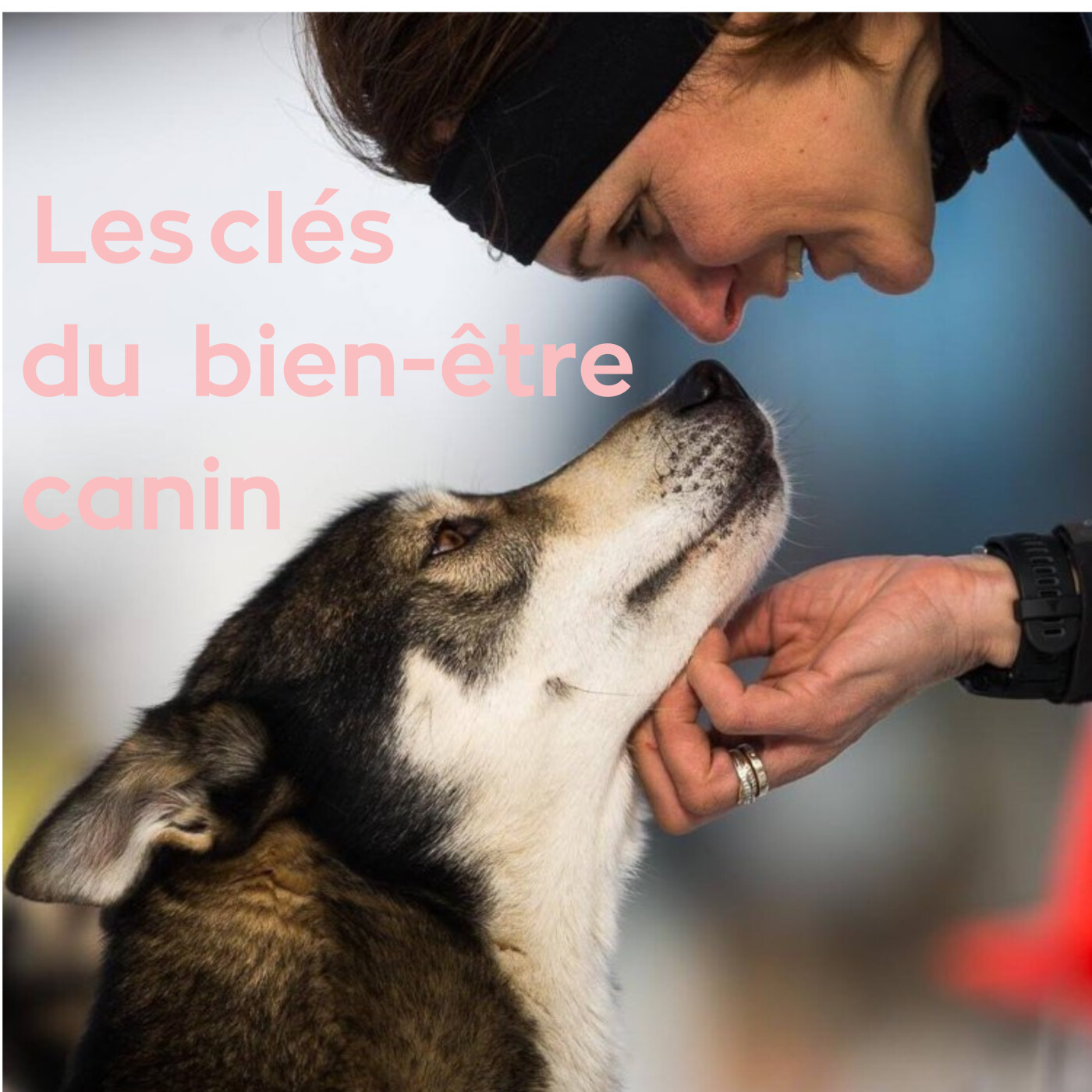 Valérie d'Element.vet & ses huskies : aventure et clés du bien-être canin episode artwork