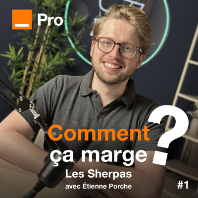 Comment multiplier son CA par quatre ? Les conseils d’Etienne Porche, CEO Les Sherpas cover
