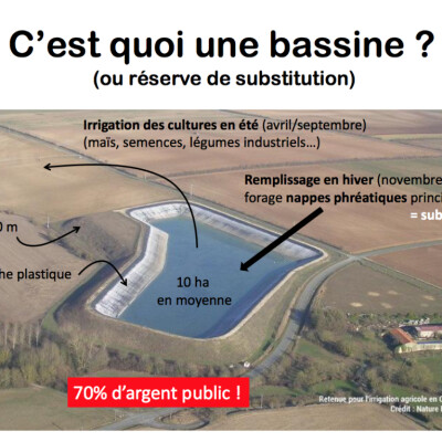 Méga bassines, méga problème ou simple phénomène médiatique ? cover