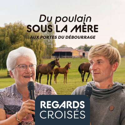 Sevrage du poulain : accompagner ses premiers pas vers le travail cover