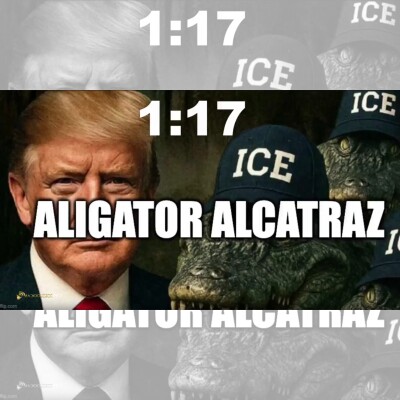 ALIGATOR ALCATRAZ cover