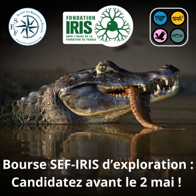 Un projet d'expédition ? Les candidatures à la bourse SEF IRIS clôturent le 2 mai ! cover