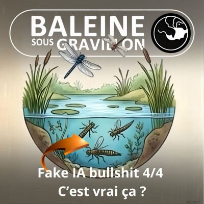 S07E91 Fake, IA et bullshit 4/4 : C'est vrai ça ? (Sylvain Tillon) cover