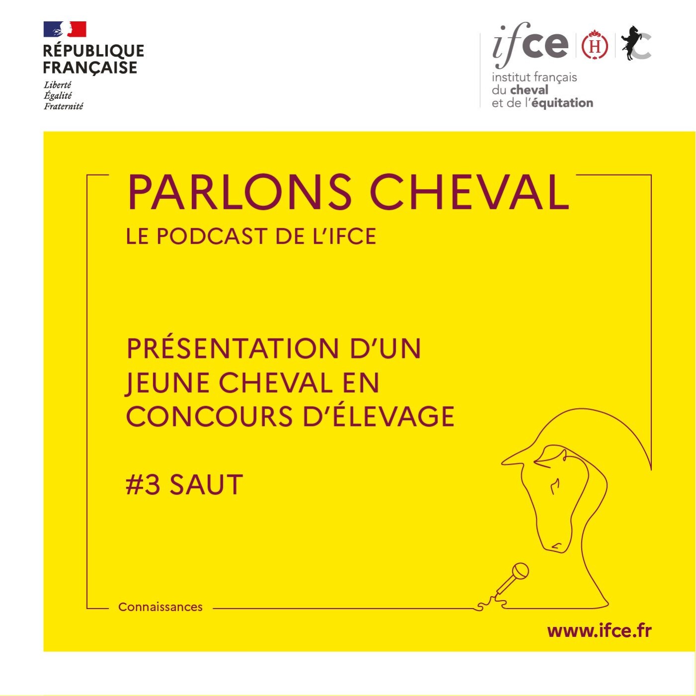 Ép. 3 | Présentation d'un jeune cheval en concours d'élevage - #3 Saut - Patrick Pratlong