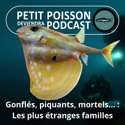 S02E22 Les gonflés, piquants, mortels, cubiques... Les plus étranges familles "Adams" des océans (Tétraodontiformes 2/7) cover