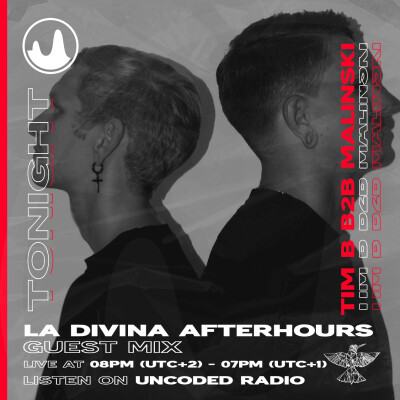 EP176 : La Divina : Tim B B2B Malinski [Techno] cover