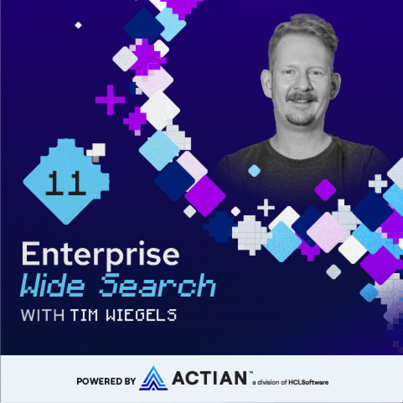 Enterprise Wide Search 11: Tim Wiegels - Data Stacks, Not Science Projects episode artwork