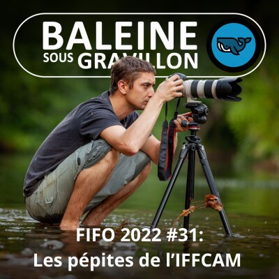 FIFO #31 : Quelques pépites naturalistes (Les garçons de l'IFFCAM) cover