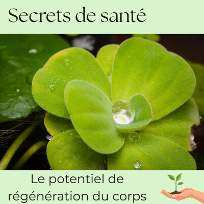 Le potentiel de régénération du corps : énergie vitale et santé naturelle - S7E2 cover