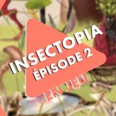 En Jeu- Insectopia 2/4 cover