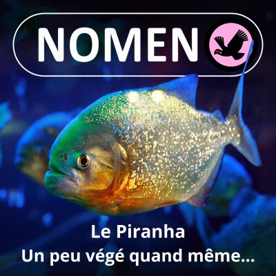 S02E11 L'histoire du Piranha plus végétarien qu'on ne pensait cover