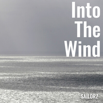 Into The Wind cover