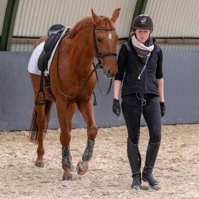 🐎 Dressage • Laisser passer … cover