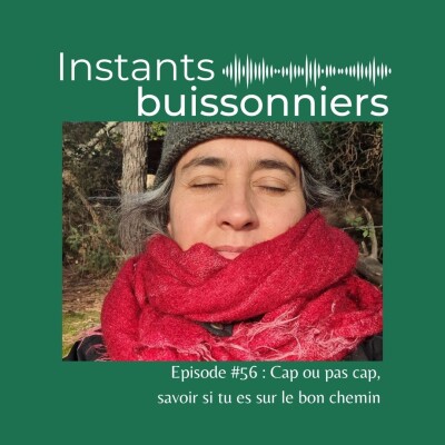 Episode 56 : Cap ou pas cap, savoir si tu es sur le bon chemin cover