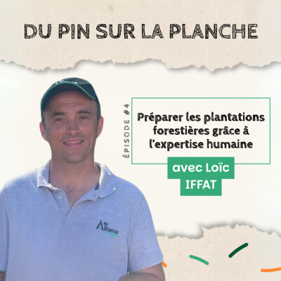 Préparer les plantations forestières grâce à l’expertise humaine - Loïc Iffat cover