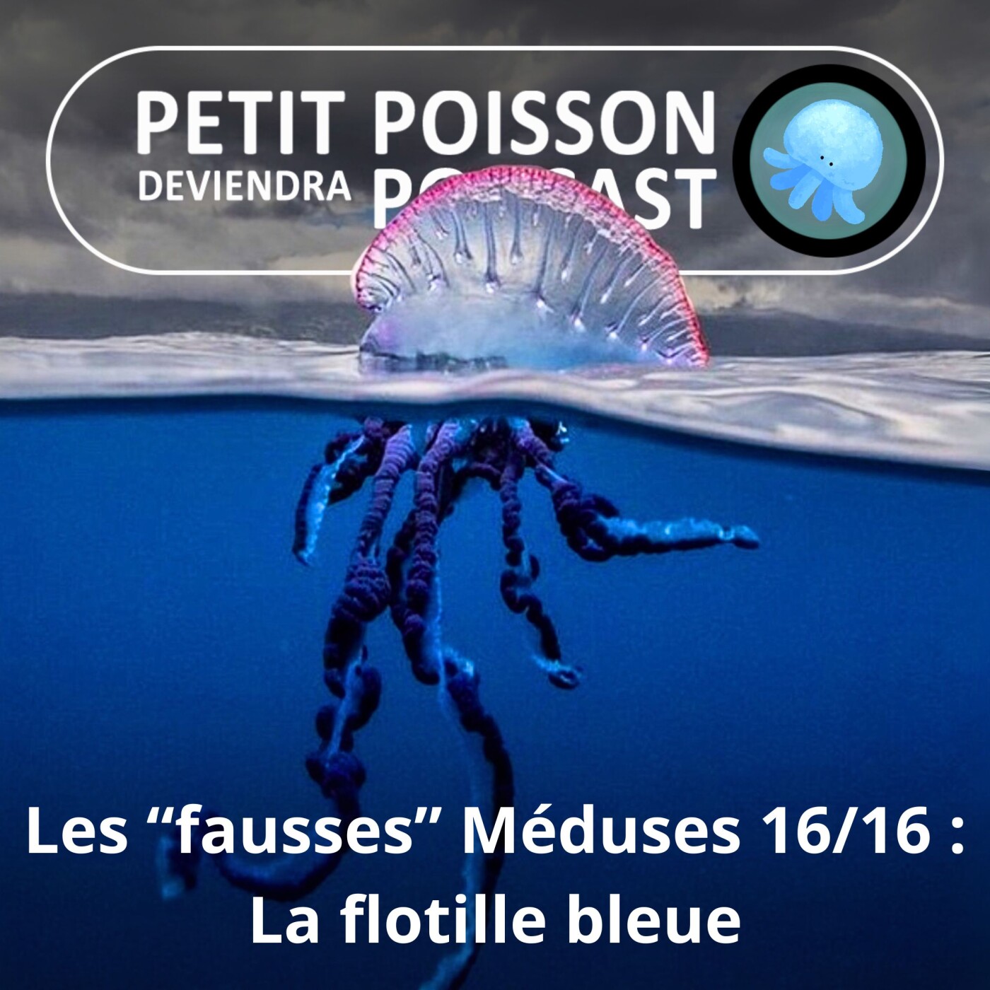 Petit Poisson deviendra Podcast