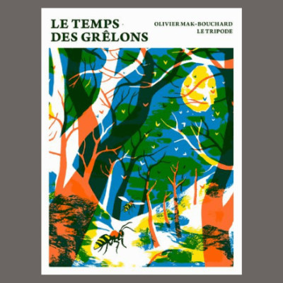 Olivier Mak-Bouchard - Le temps des grêlons cover