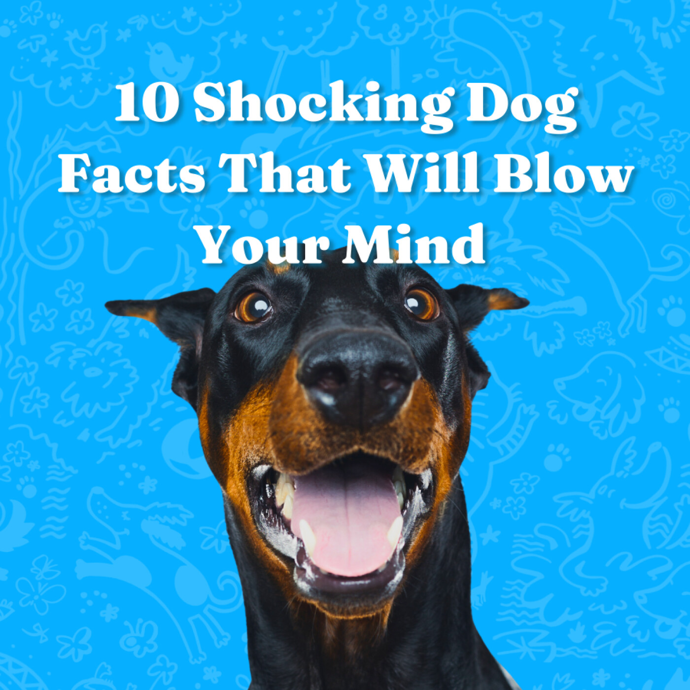 10 Shocking Dog Facts That Will Blow Your Mind episode artwork