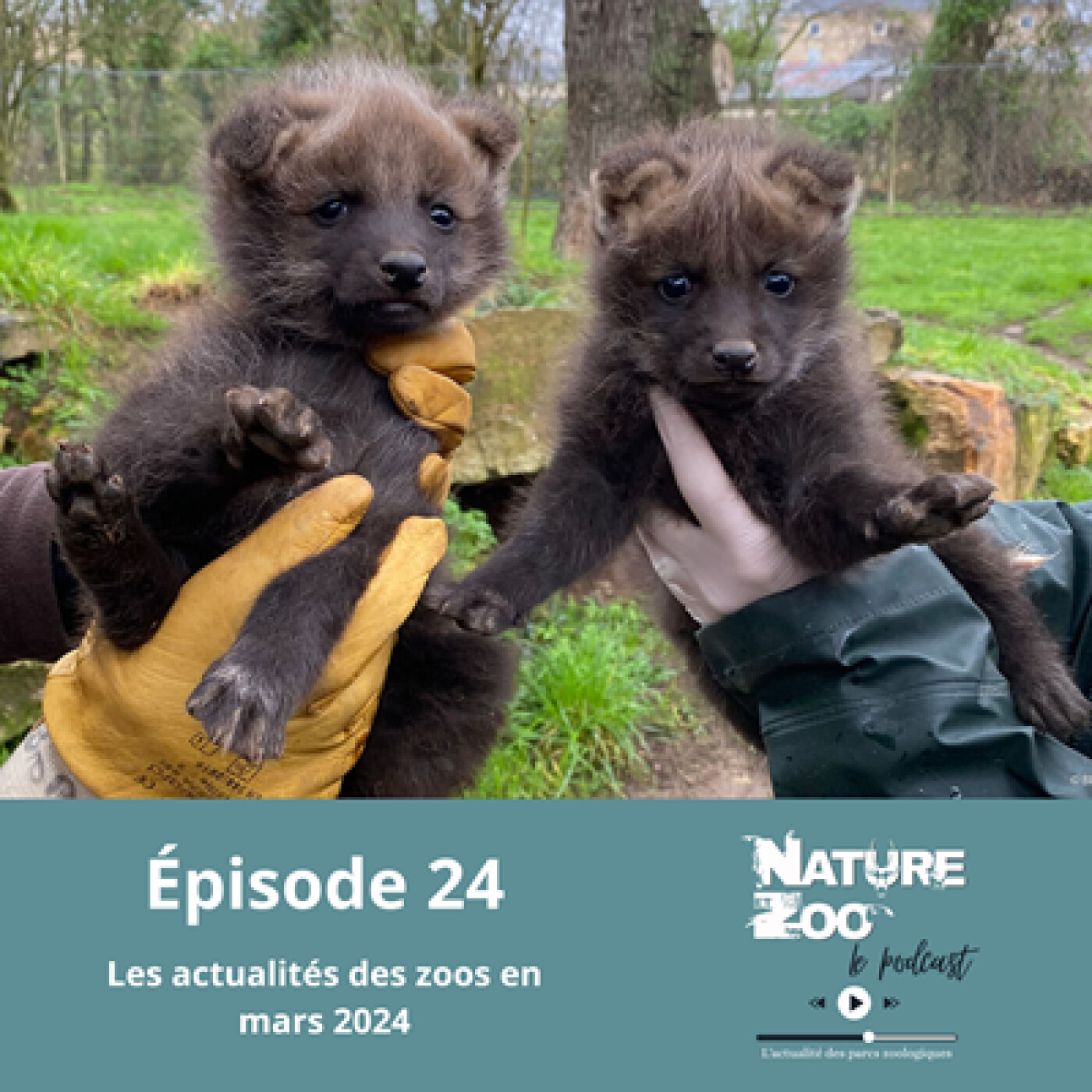 Nature et Zoo - Le Podcast