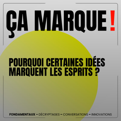 Pourquoi certaines idées marquent les esprits ? cover
