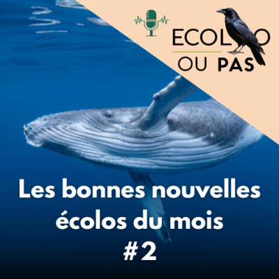 Les bonnes nouvelles écolos du mois #2 cover