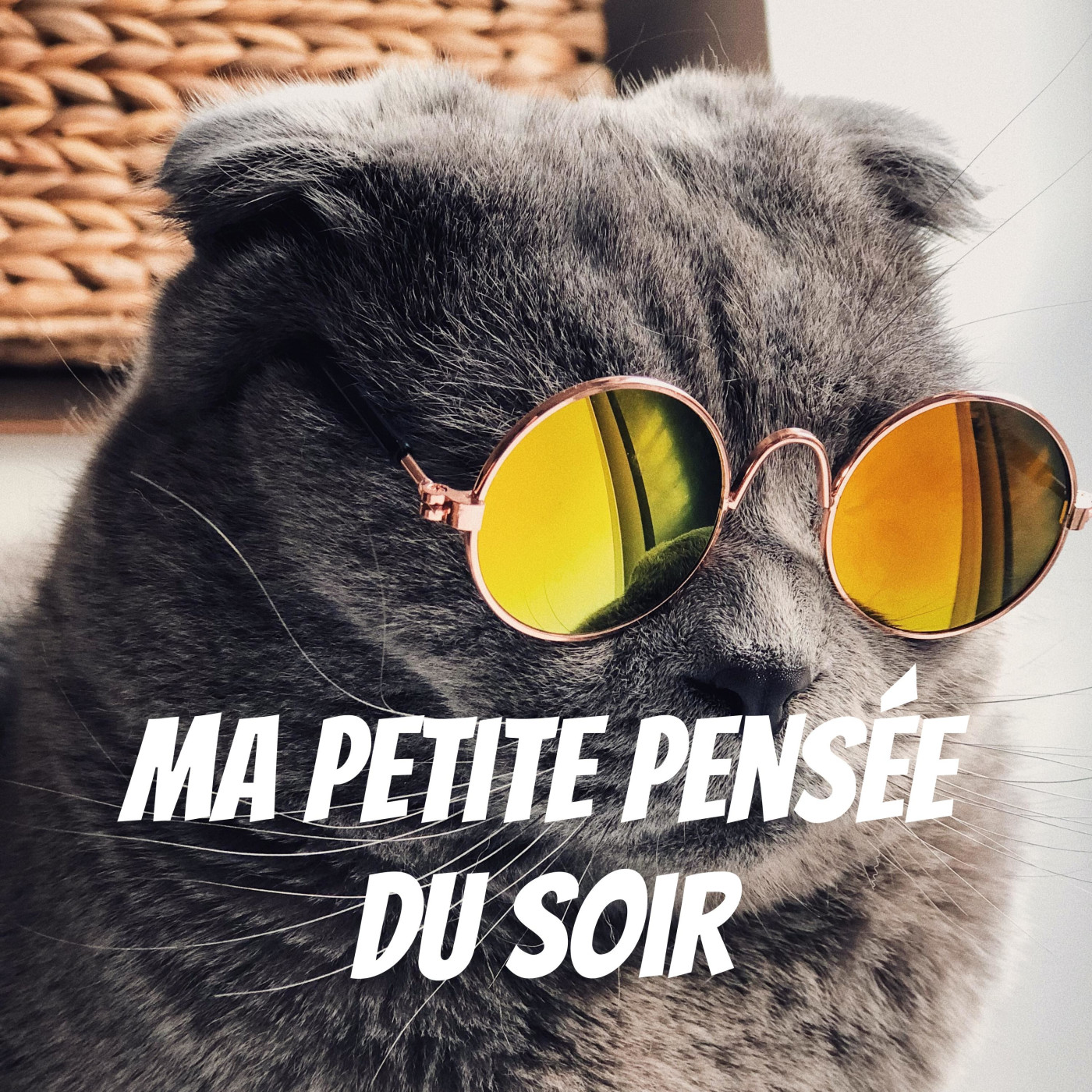 Illustration du podcast Ma petite pensée du soir : Le Podcast de Développement Personnel