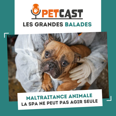 Maltraitance animale : pourquoi la SPA ne peut pas agir seule ? cover