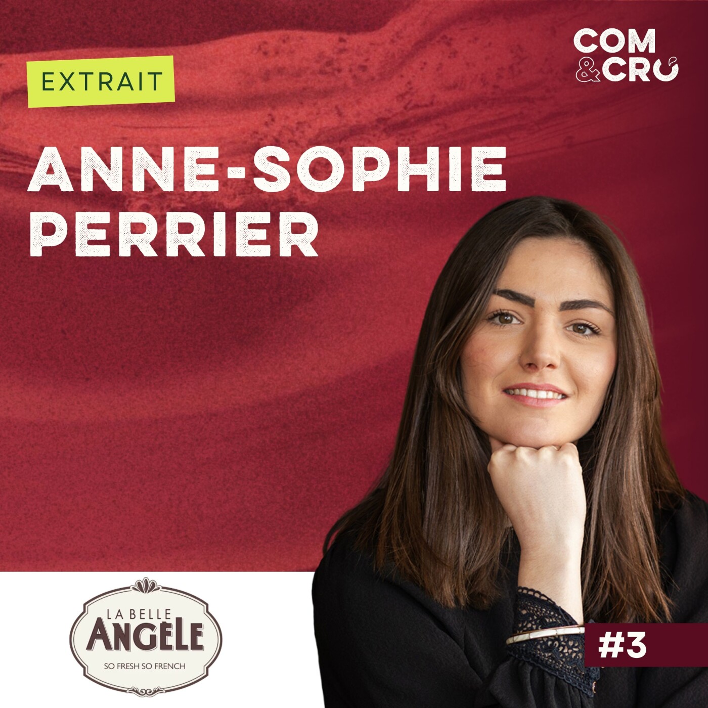 [Extrait] Comment la catégorie Vin de France réinvente la filière vin avec Anne-Sophie Perrier, Chef de marque de La Belle Angèle episode artwork