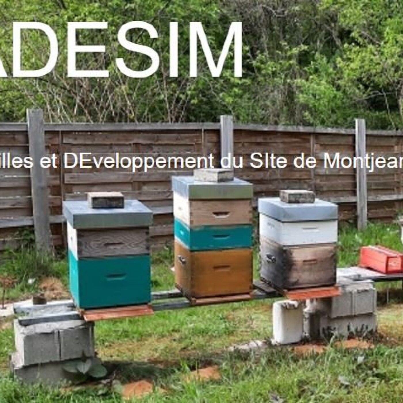 Nos associations - ADESIM episode artwork
