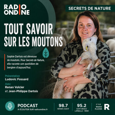 Tout savoir sur les moutons cover