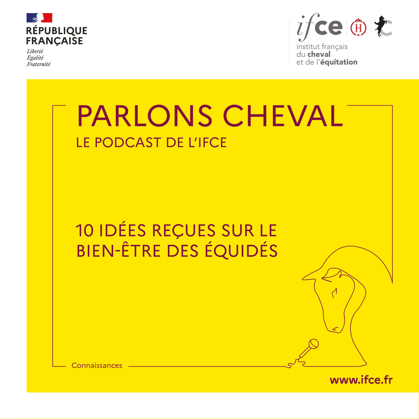 Ép. 18 | 10 idées reçues sur le bien-être des équides - Léa Lansade