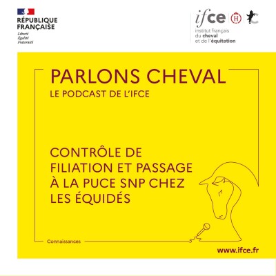 Ép. 85 | Contrôle de filiation et passage à la puce SNP chez les équidés - Armelle Govignon cover