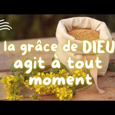 Parole et Évangile du jour | Lundi 28 juillet • La grâce se répand par son corps cover