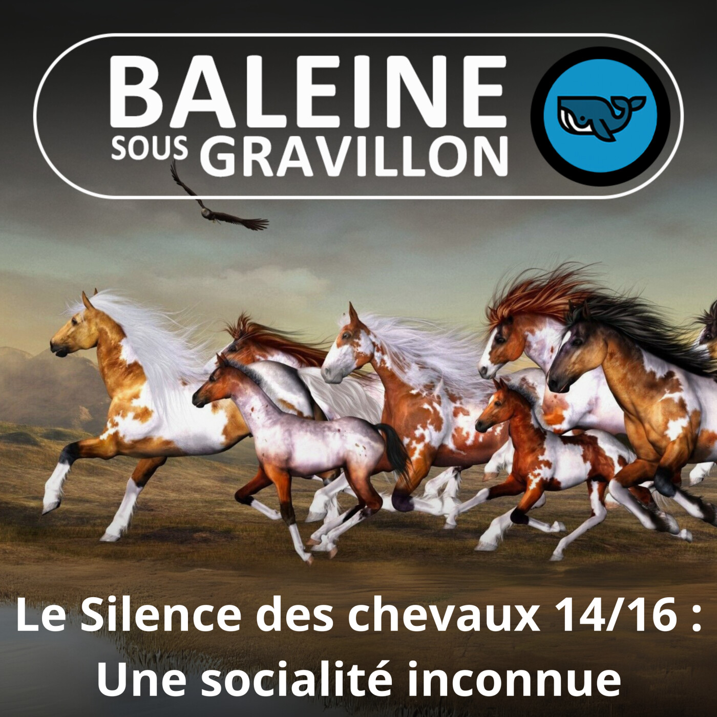 S06E48 Le Silence des chevaux 14/16 : Une socialité de groupe vitale mais niée