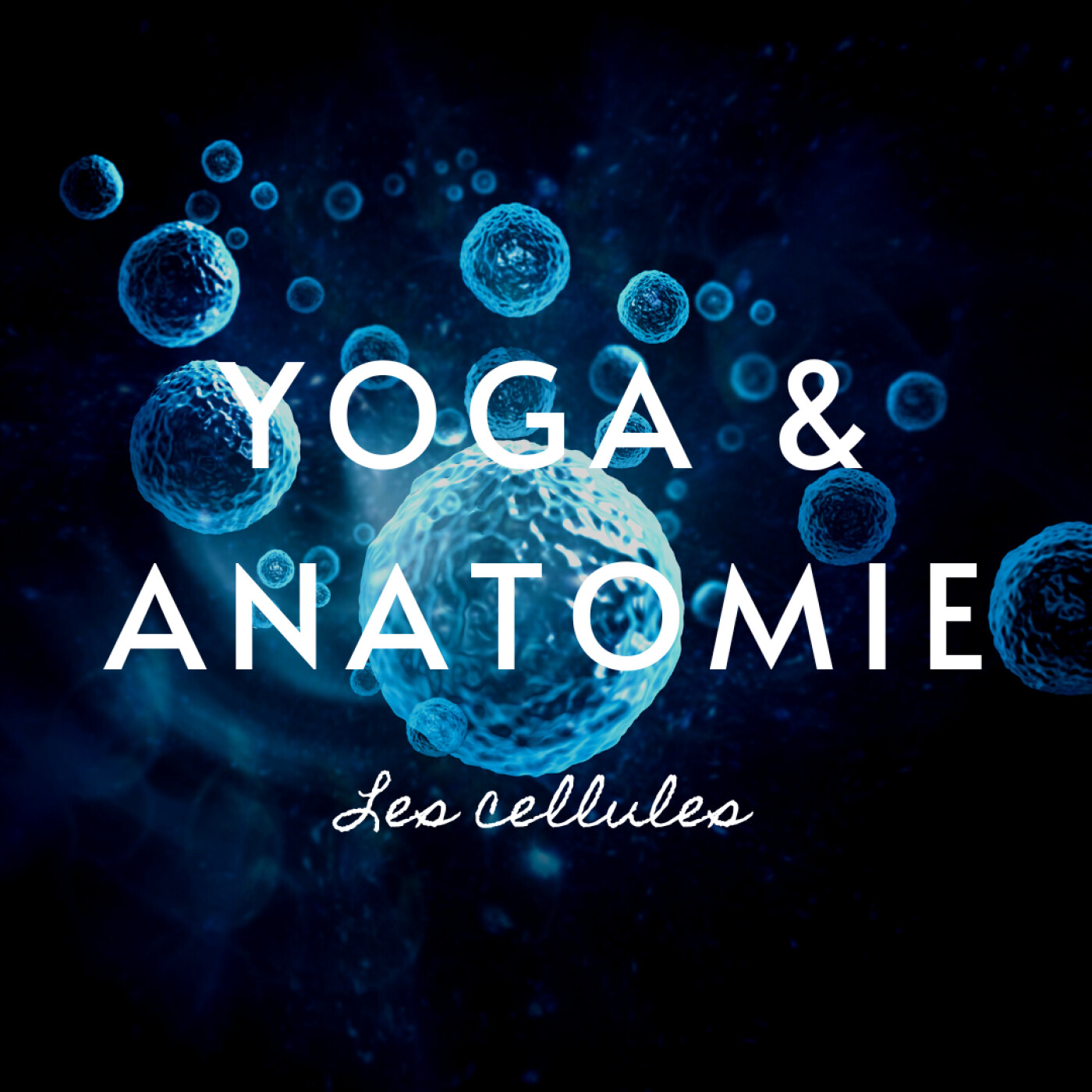 YOGA ET ANATOMIE | LES CELLULES | 10MIN POUR COMPRENDRE LE CORPS HUMAIN