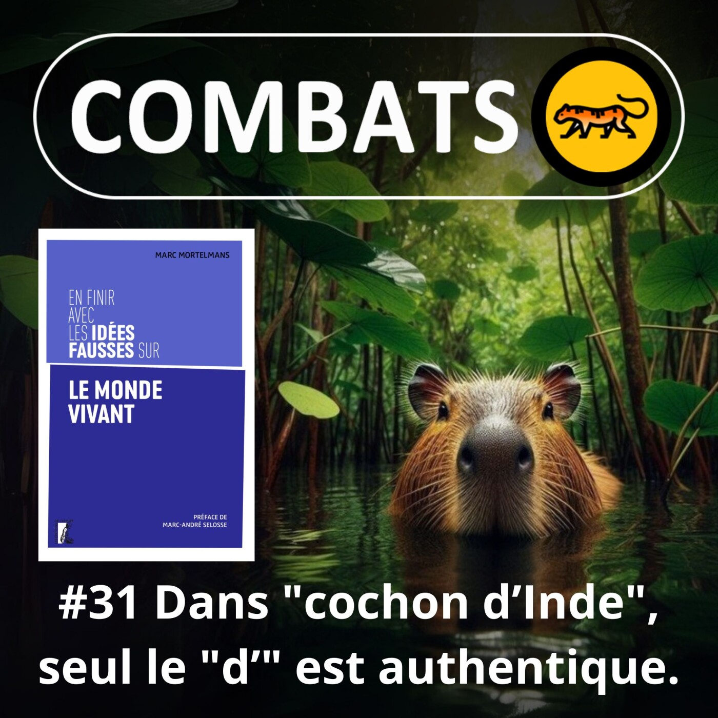 S04E31 Idées fausses : Dans "cochon d'Inde", seul le "d'" est correct