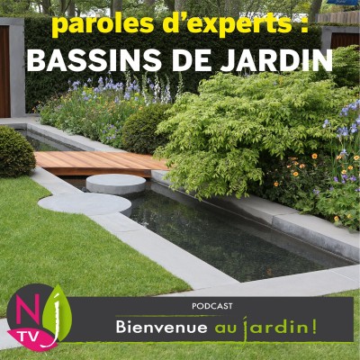 PAROLES D'EXPERTS: UN BASSIN DANS VOTRE JARDIN cover