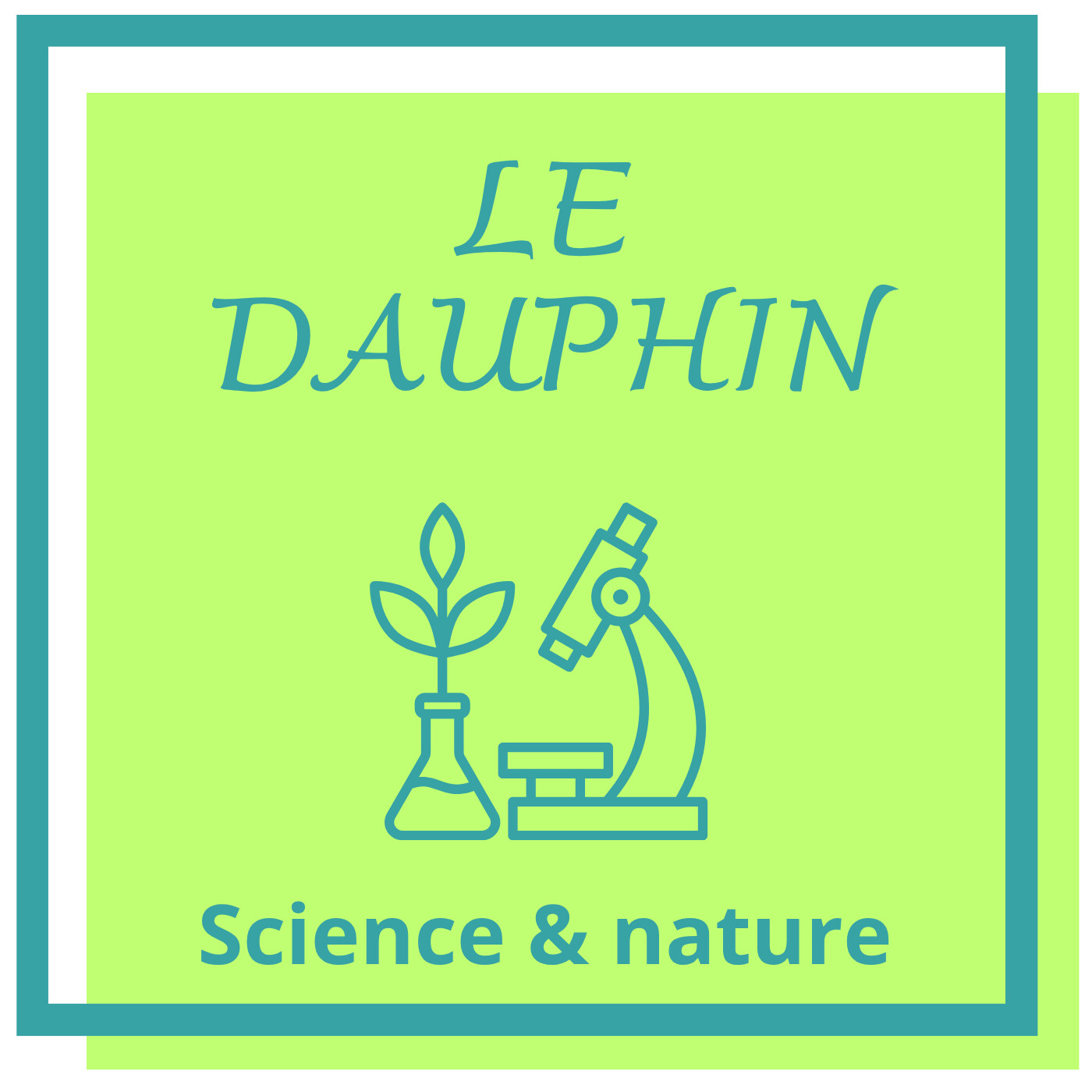Le Dauphin: rapide, malicieux et sociable Le Dauphin: rapide, malicieux et sociable