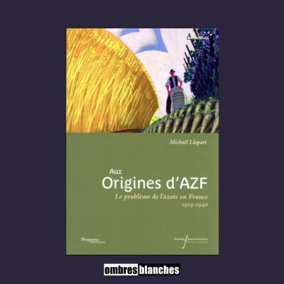 Michaël Llopart → Aux origines d’AZF cover