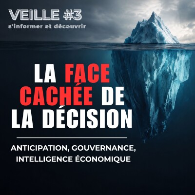 Veille #3 - La face cachée de la décision cover