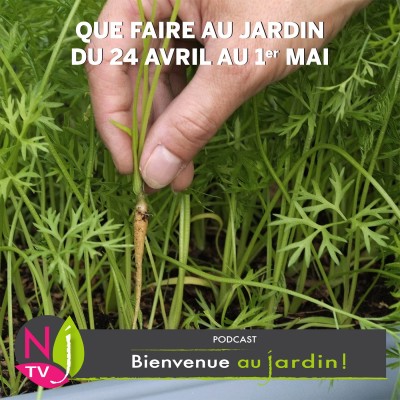 QUE FAIRE AU JARDIN DU 24 AVRIL AU 1er MAI ? cover