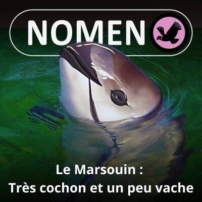 S05E37 Le Marsouin : Très cochon et un peu vache cover