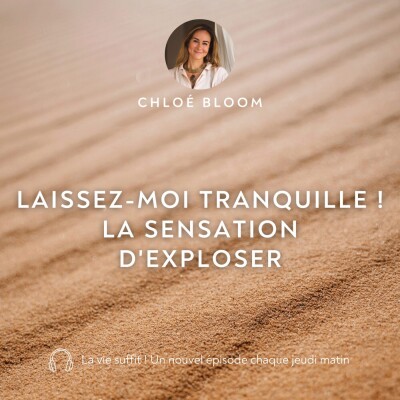 Laissez-moi tranquille ! La sensation d'exploser cover