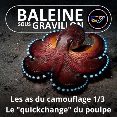 S07E163 Les as du camouflage 1/3 : Le "quickchange" du Poulpe cover