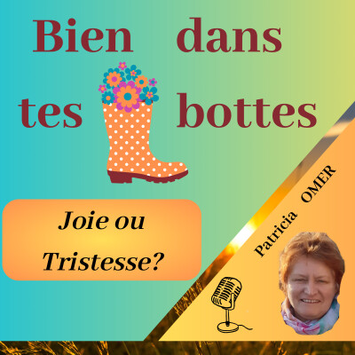 Joie ou tristesse Ep 001 cover
