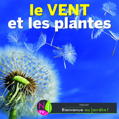PAROLES D'EXPERTS: LE VENT, LES PLANTES ET LE JARDIN cover