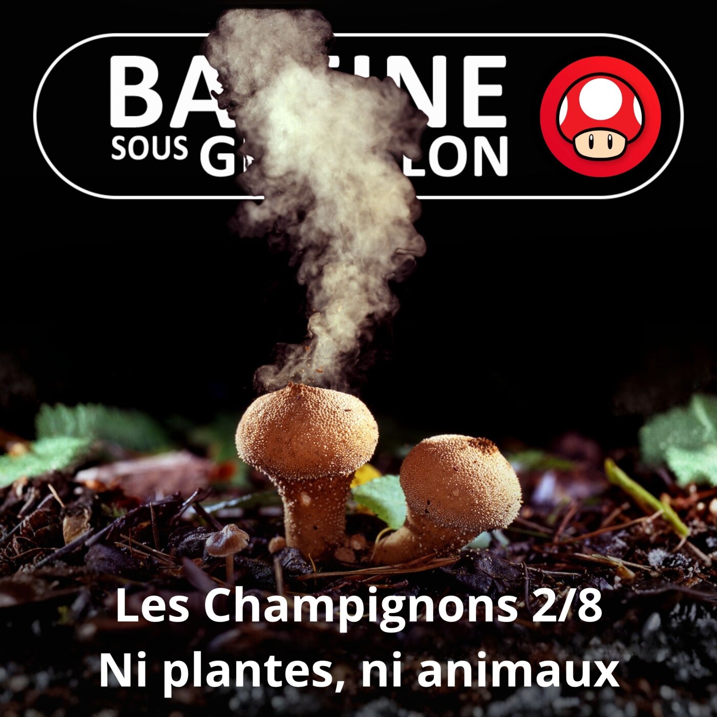 S05E39 Les Champignons 2/8 : Ni plantes, ni animaux... (Guillaume Lopez) episode artwork