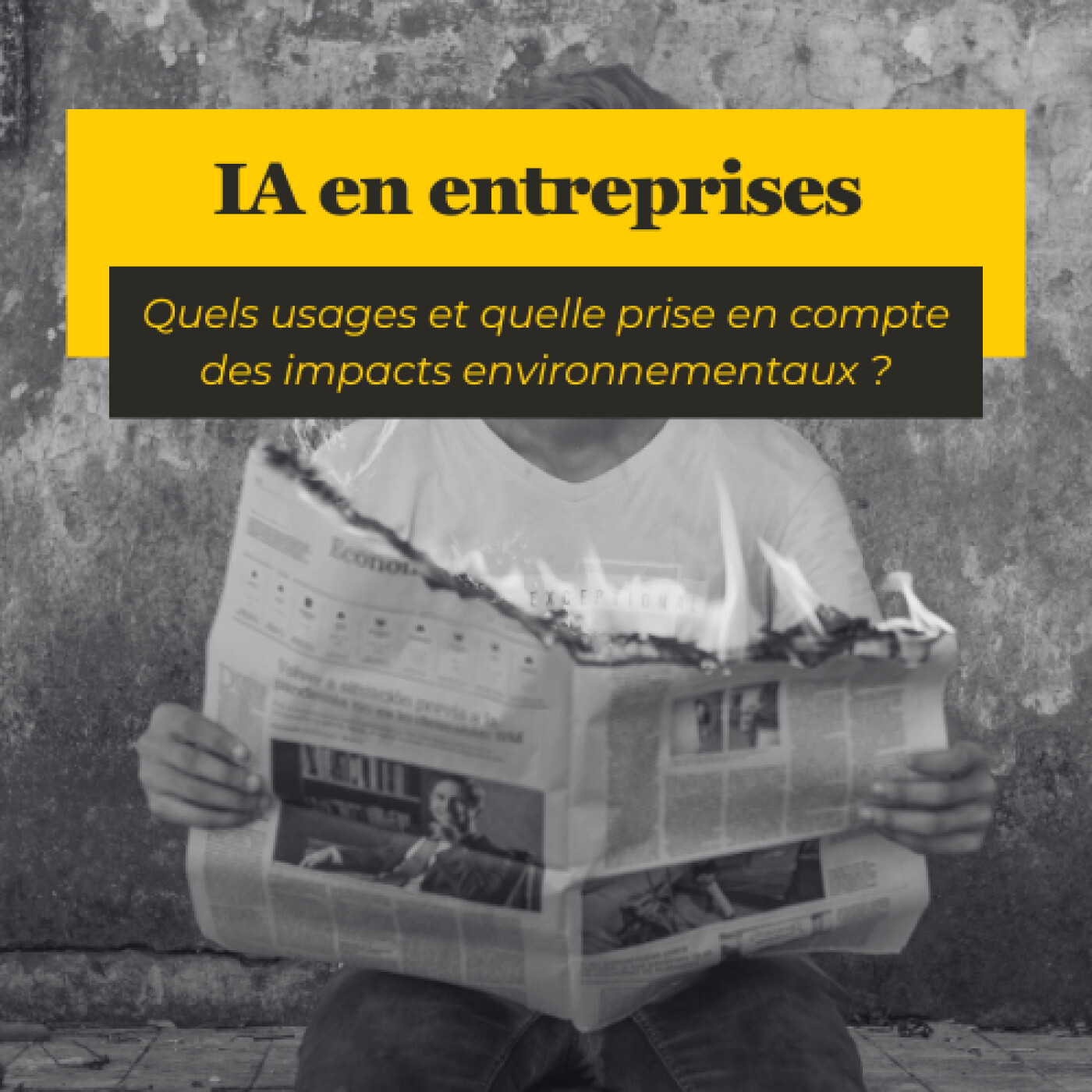 #20 - IA dans les entreprises françaises : quels usages et quelle prise en compte des impacts environnementaux ?