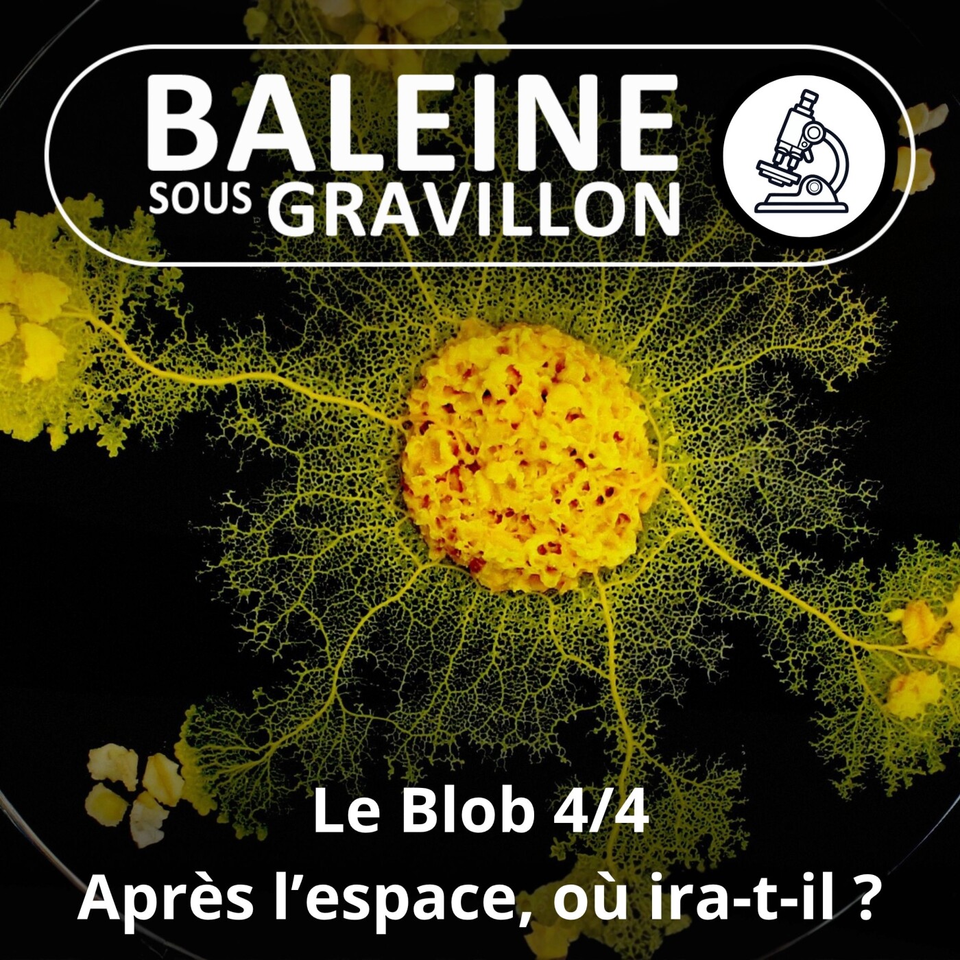 S04E59 Le Blob 4/4 : Après l'espace, jusqu'où ira-t-il ? (Audrey Dussutour) episode artwork